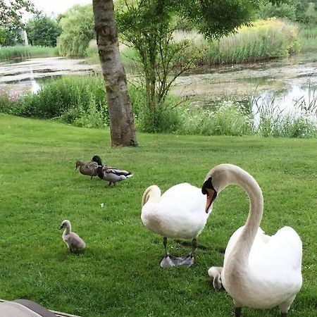 Cotswolds Lake Side Home With Luxury Spa Swallows Nest,Lower Mill Estate, Lakeside Home And Spa With A Harry Potter Cupboard Under The Stairs Somerford Keynes Eksteriør bilde