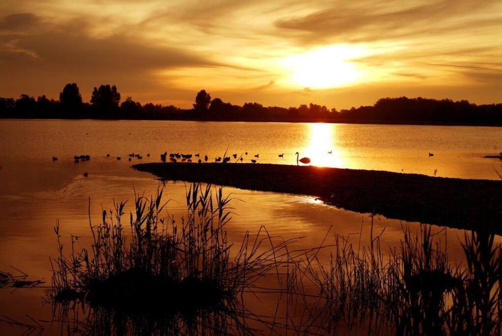 Cotswolds Lake Side Home With Luxury Spa Swallows Nest,Lower Mill Estate, Lakeside Home And Spa With A Harry Potter Cupboard Under The Stairs Somerford Keynes Eksteriør bilde