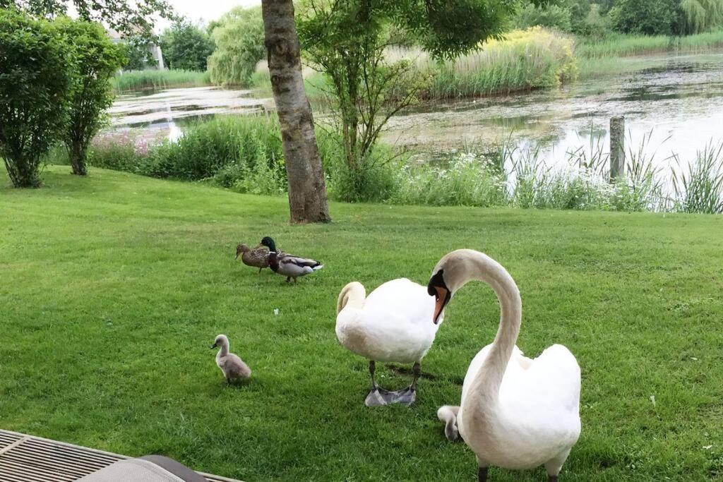 Cotswolds Lake Side Home With Luxury Spa Swallows Nest,Lower Mill Estate, Lakeside Home And Spa With A Harry Potter Cupboard Under The Stairs Somerford Keynes Eksteriør bilde